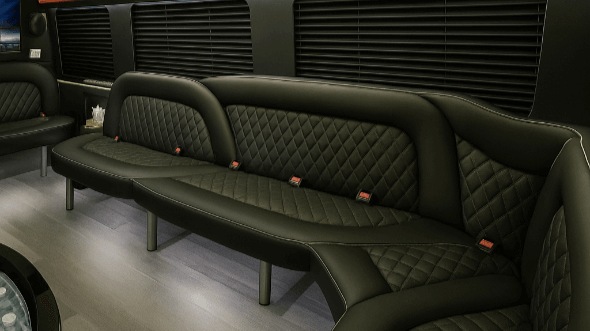 14 passenger sprinter limousine interior